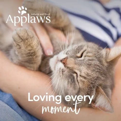 Applaws Natural Cat Pouches with Tuna and Seabream in Broth 12 x 70g