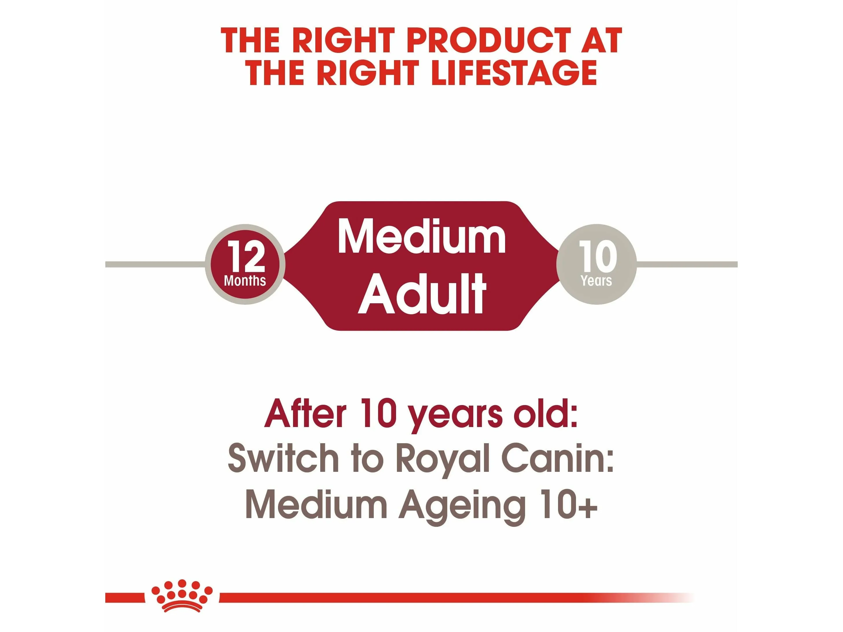 Size Health Nutrition Medium Adult 10x140g (Wet Food - Pouches)