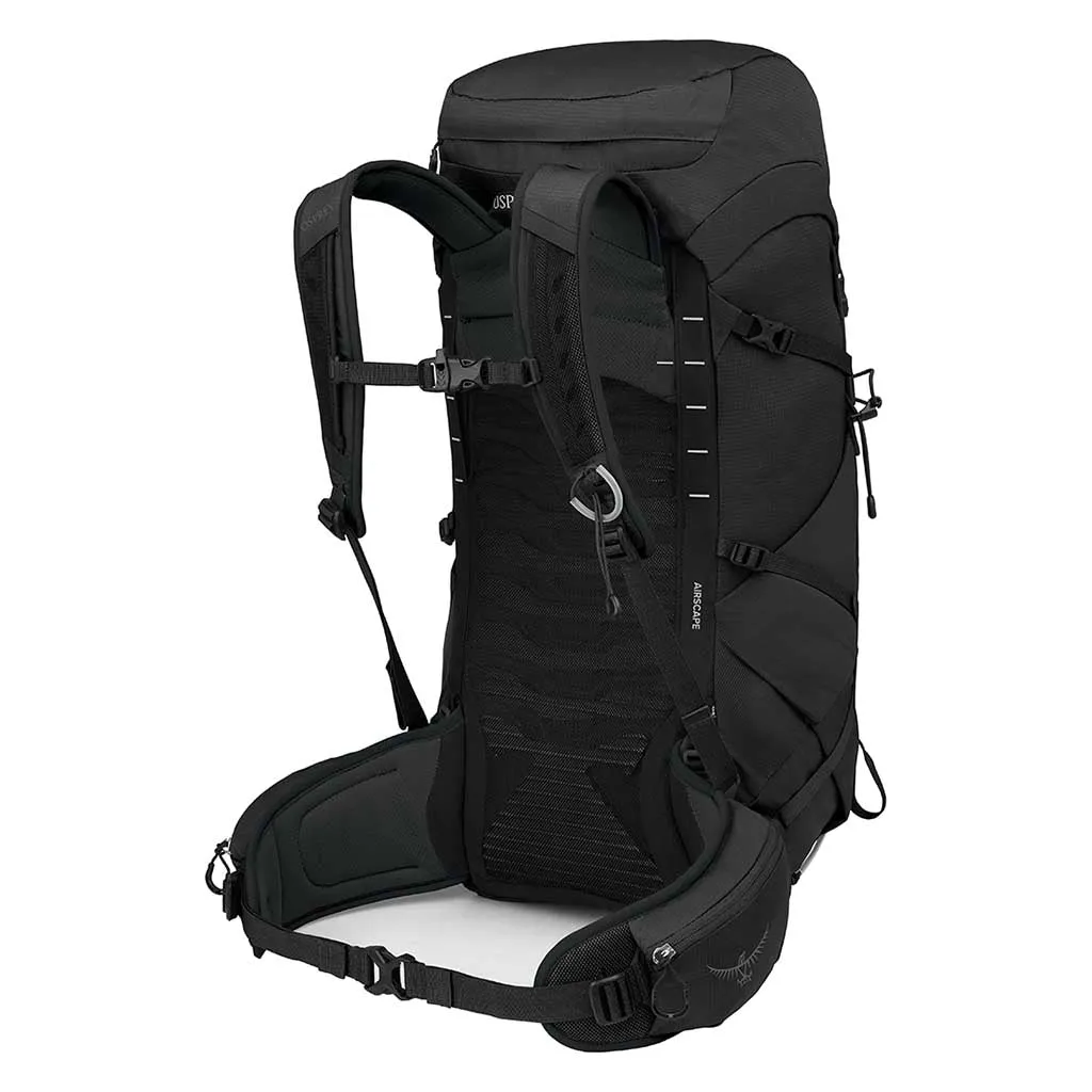 Talon 33